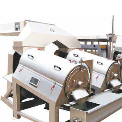 Optimizing Mango Processing Lines: The Crucial Role of Destoners in Harmony with Kailas Engineering Systems